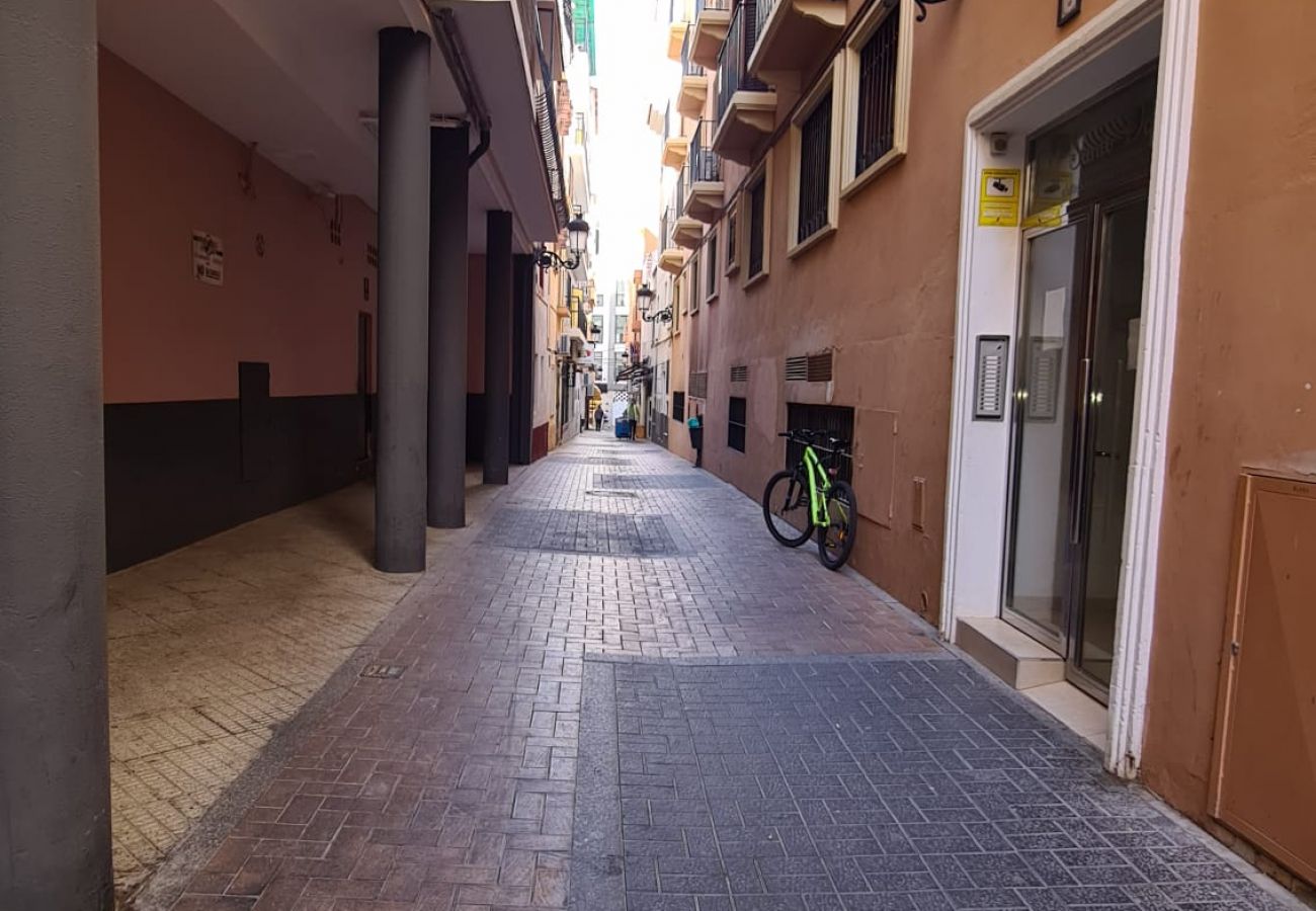 Apartamento en Benidorm - Estudio Elizondo IF Benidorm