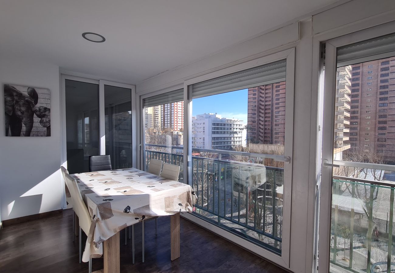 Apartamento en Benidorm - Apartamento  Ilice 5 IF Benidorm