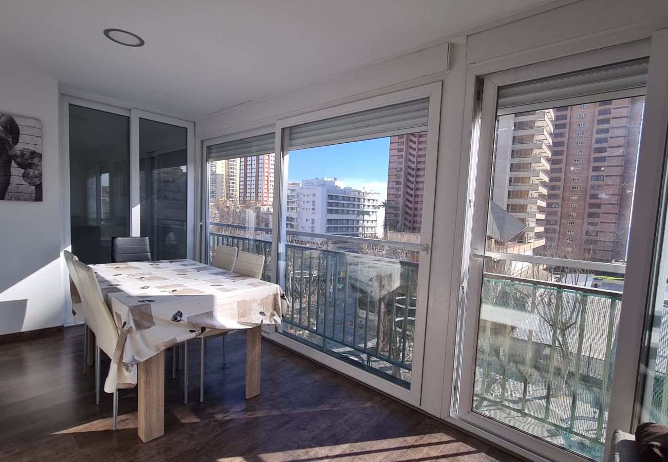 Apartamento en Benidorm - Apartamento  Ilice 5 IF Benidorm