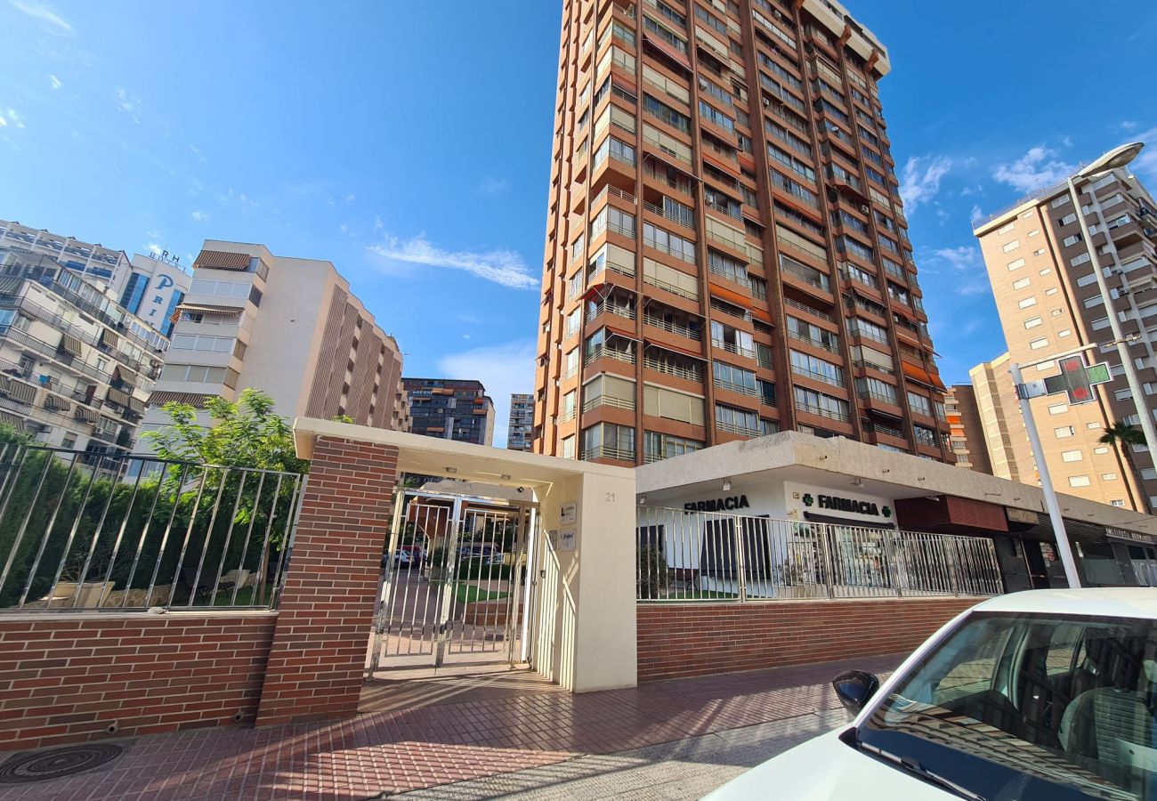 Apartamento en Benidorm - Apartamento  Marina Sedavi IF Benidorm