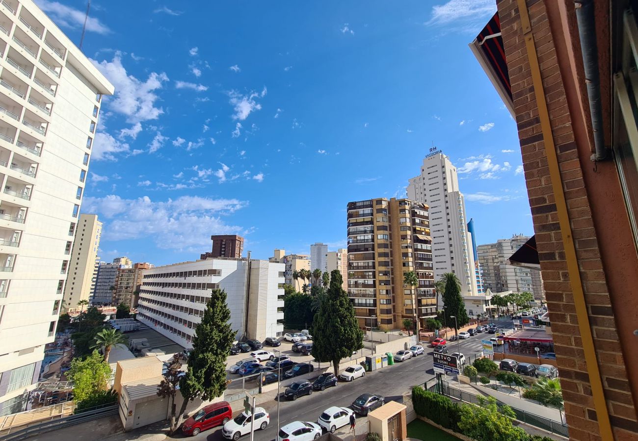 Apartamento en Benidorm - Apartamento  Marina Sedavi IF Benidorm