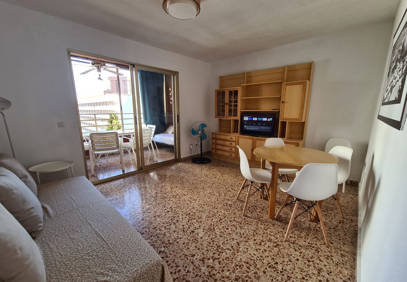 Apartamento en Benidorm - Apartamento  Marina Sedavi IF Benidorm