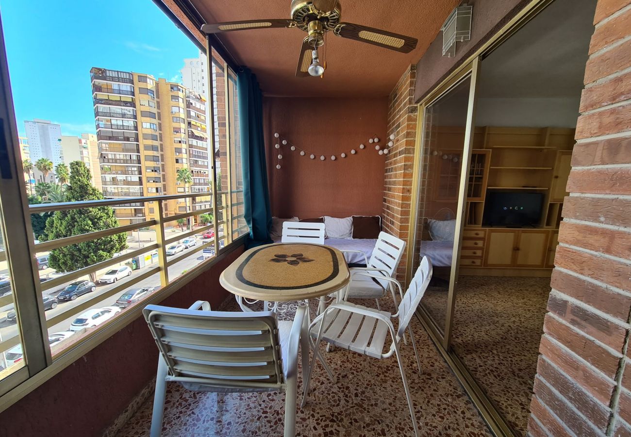 Apartamento en Benidorm - Apartamento  Marina Sedavi IF Benidorm