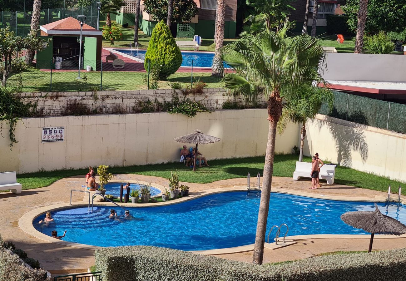 Apartamento en Benidorm - Apartamento  Marina Sedavi IF Benidorm