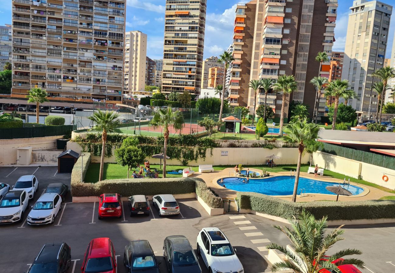 Apartamento en Benidorm - Apartamento  Marina Sedavi IF Benidorm