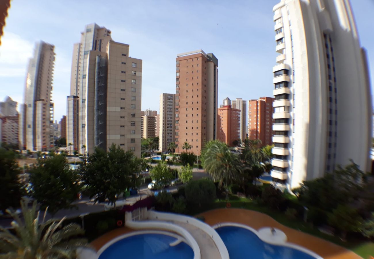 Apartamento en Benidorm - Apartamento Torre Europa 5 IF Benidorm