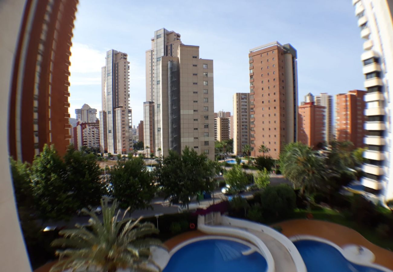 Apartamento en Benidorm - Apartamento Torre Europa 5 IF Benidorm