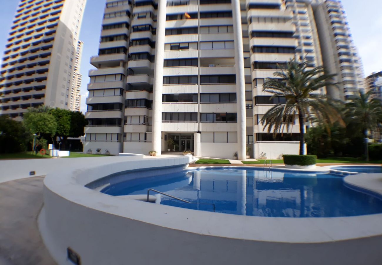 Apartamento en Benidorm - Apartamento Torre Europa 5 IF Benidorm