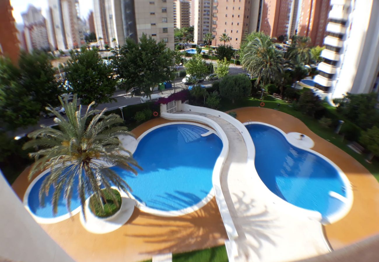 Apartamento en Benidorm - Apartamento Torre Europa 5 IF Benidorm