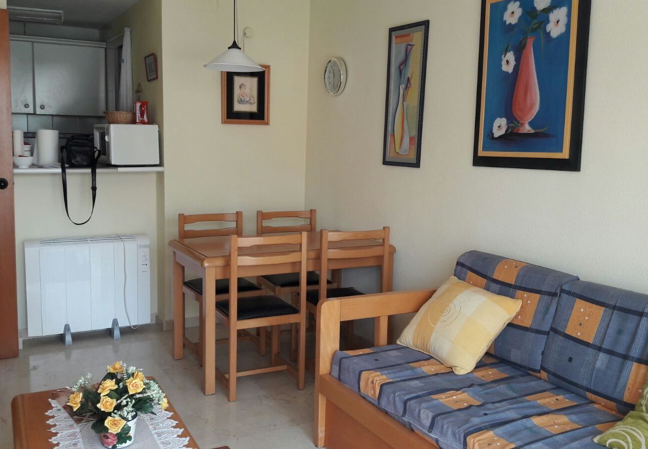 Apartamento en Benidorm - Apartamento Torre Europa 5 IF Benidorm