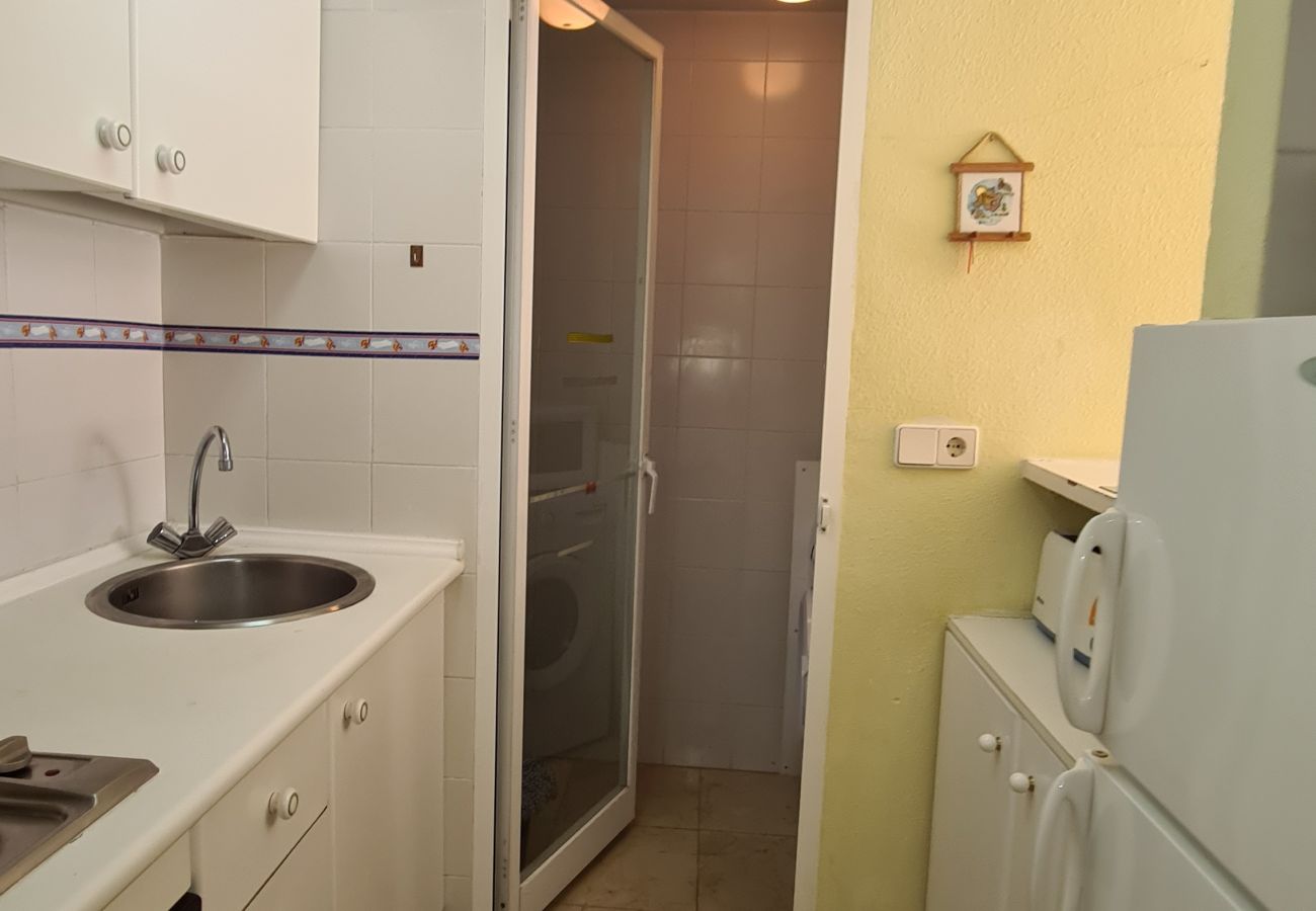 Apartamento en Benidorm - Apartamento Torre Europa 5 IF Benidorm