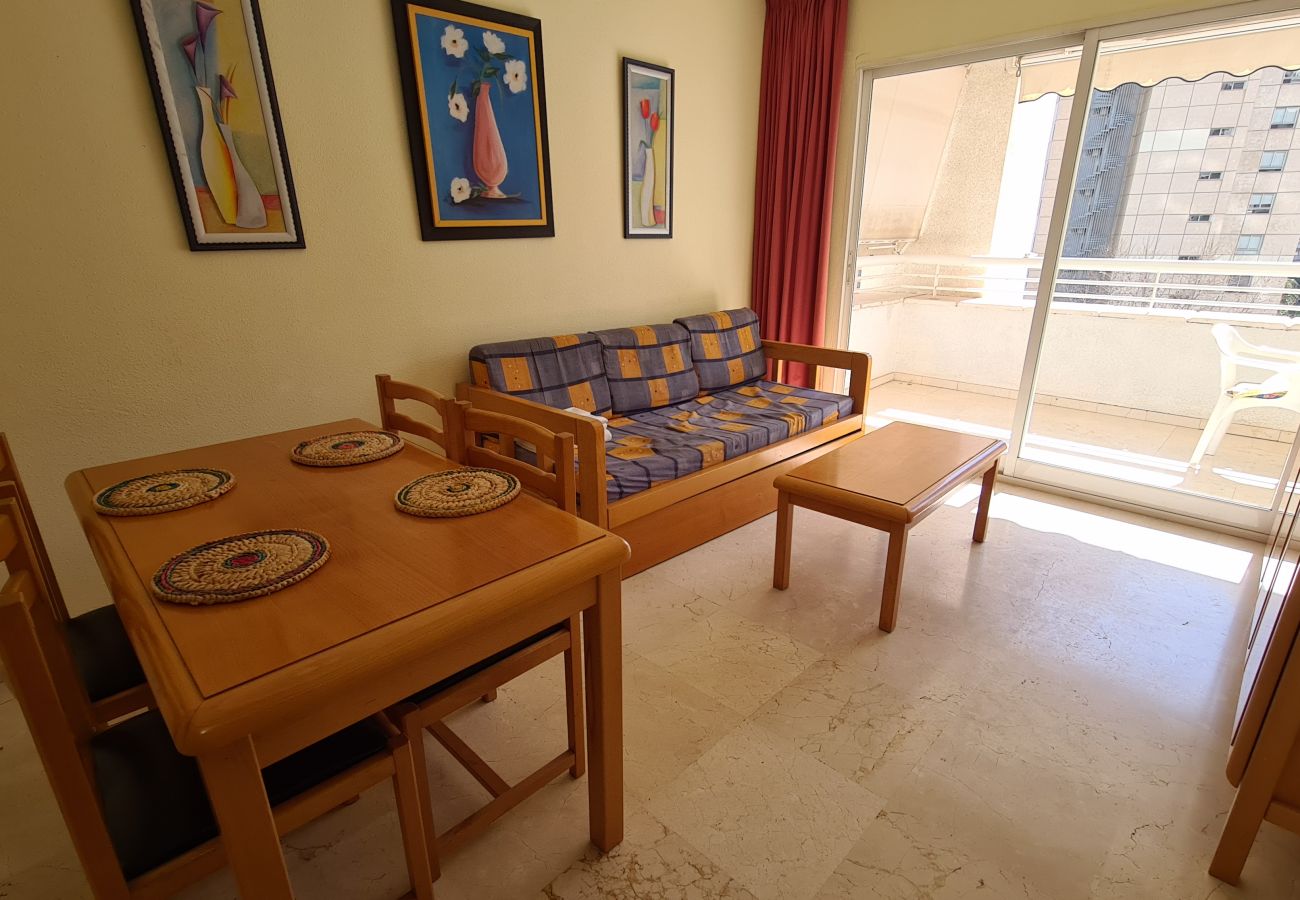 Apartamento en Benidorm - Apartamento Torre Europa 5 IF Benidorm