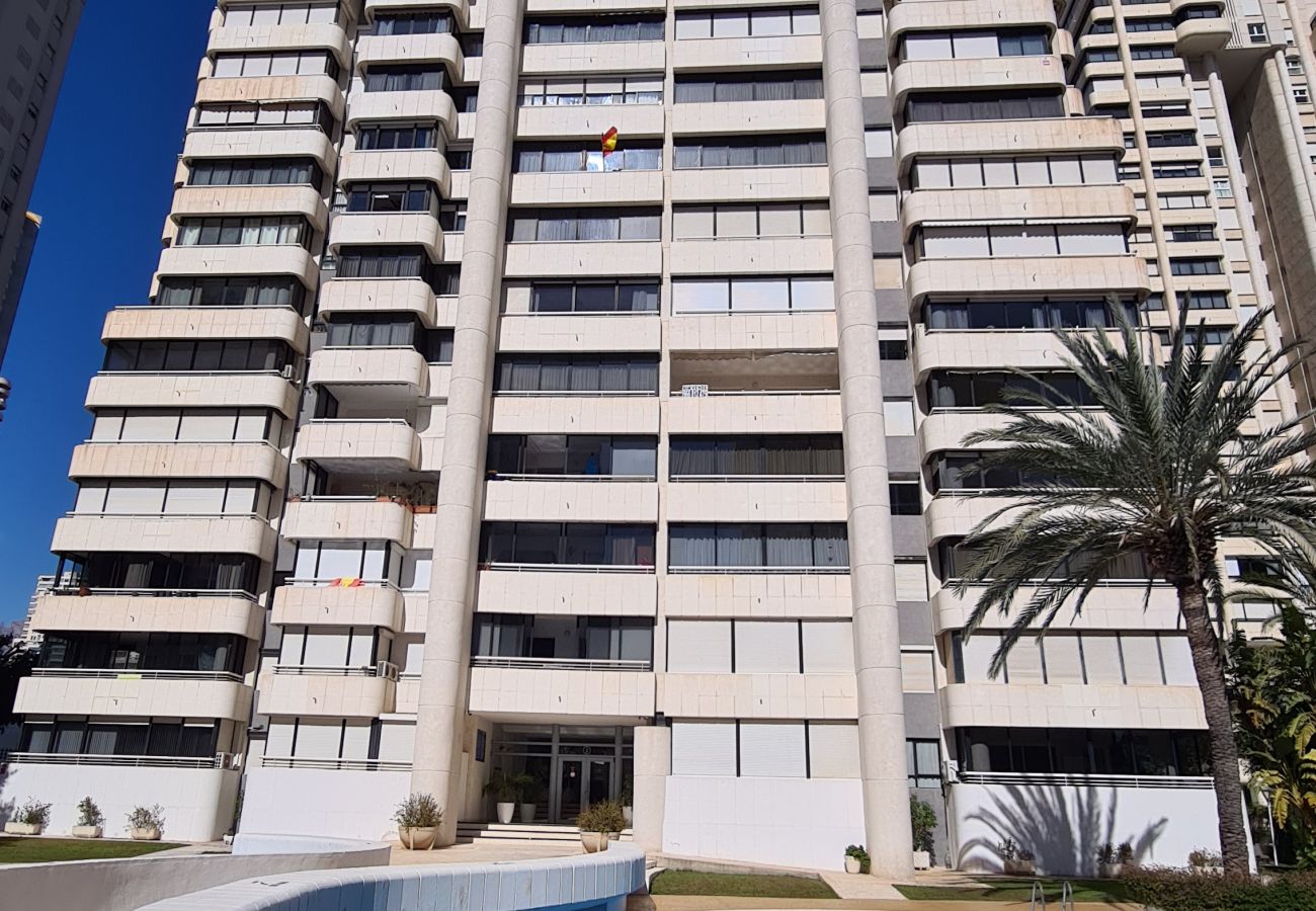 Apartamento en Benidorm - Apartamento Torre Europa 5 IF Benidorm