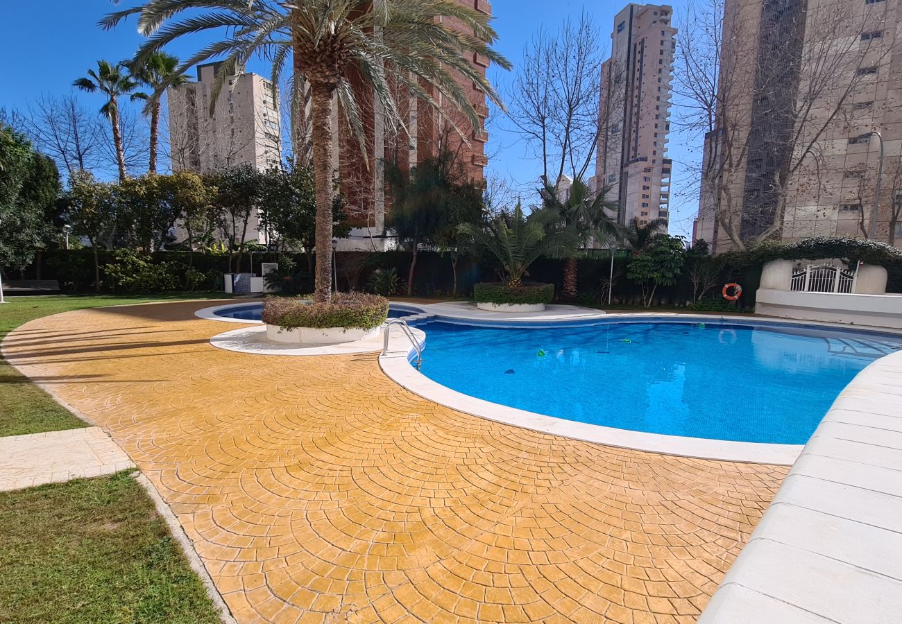 Apartamento en Benidorm - Apartamento Torre Europa 5 IF Benidorm