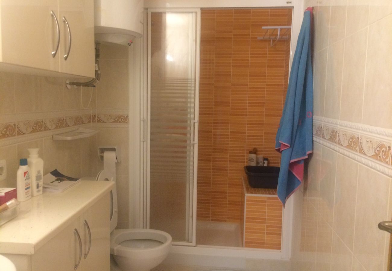 Apartamento en Benidorm - Estudio  Las Palmeras 12 IF Benidorm