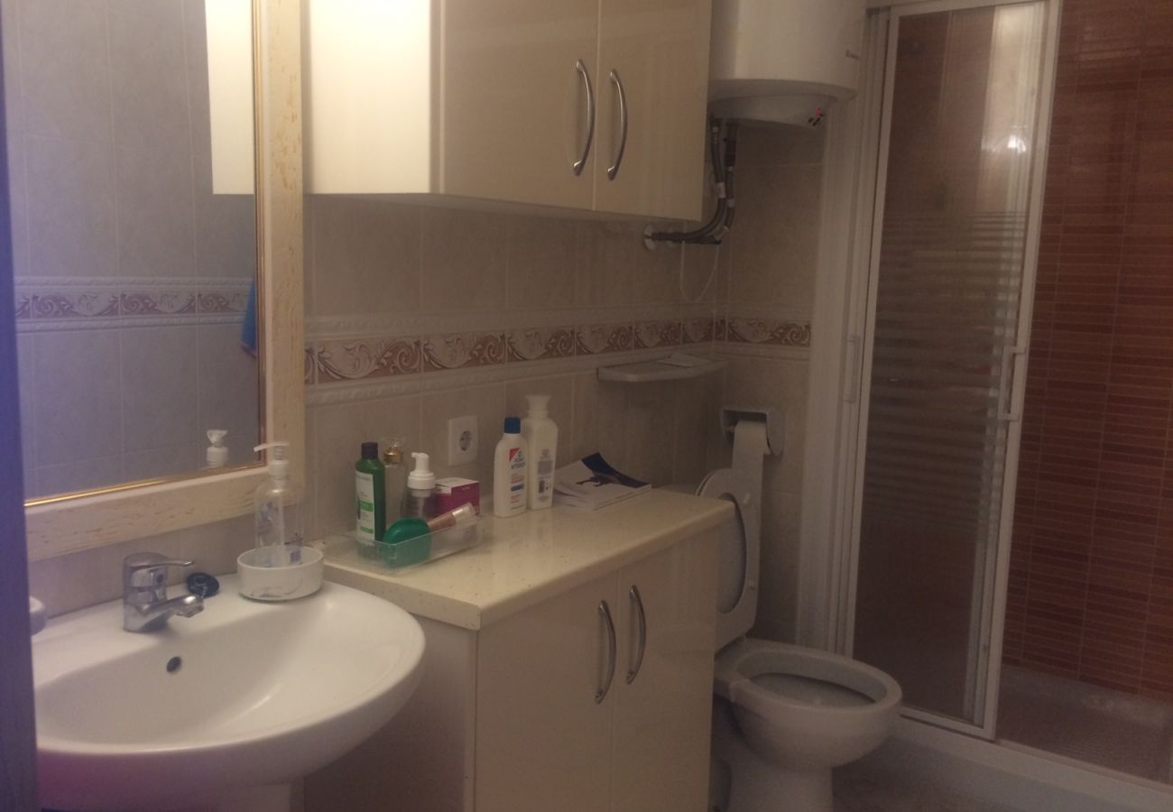 Apartamento en Benidorm - Estudio  Las Palmeras 12 IF Benidorm