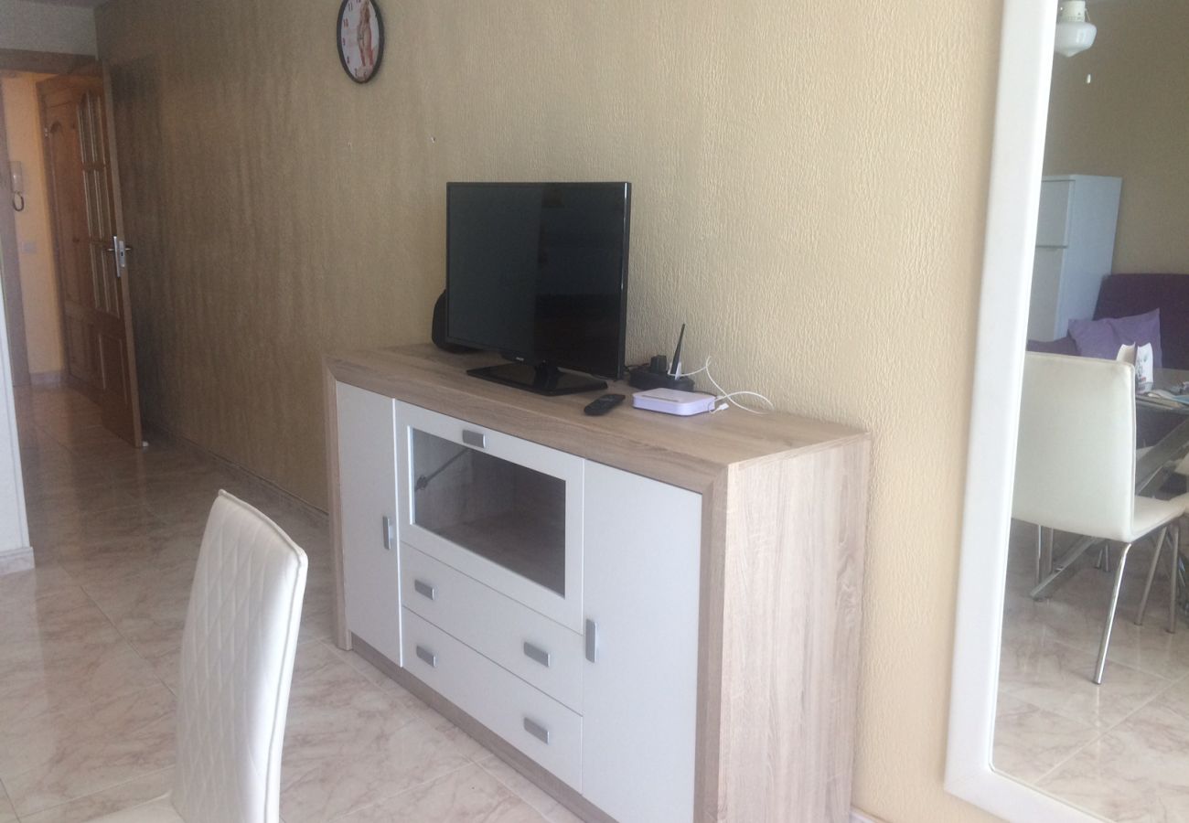 Apartamento en Benidorm - Estudio  Las Palmeras 12 IF Benidorm