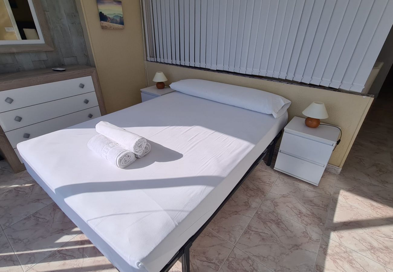 Apartamento en Benidorm - Estudio  Las Palmeras 12 IF Benidorm