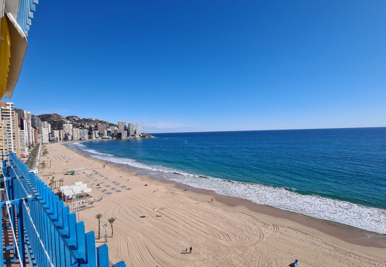 Apartamento en Benidorm - Estudio  Las Palmeras 12 IF Benidorm