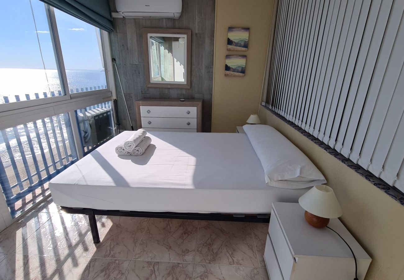 Apartamento en Benidorm - Estudio  Las Palmeras 12 IF Benidorm