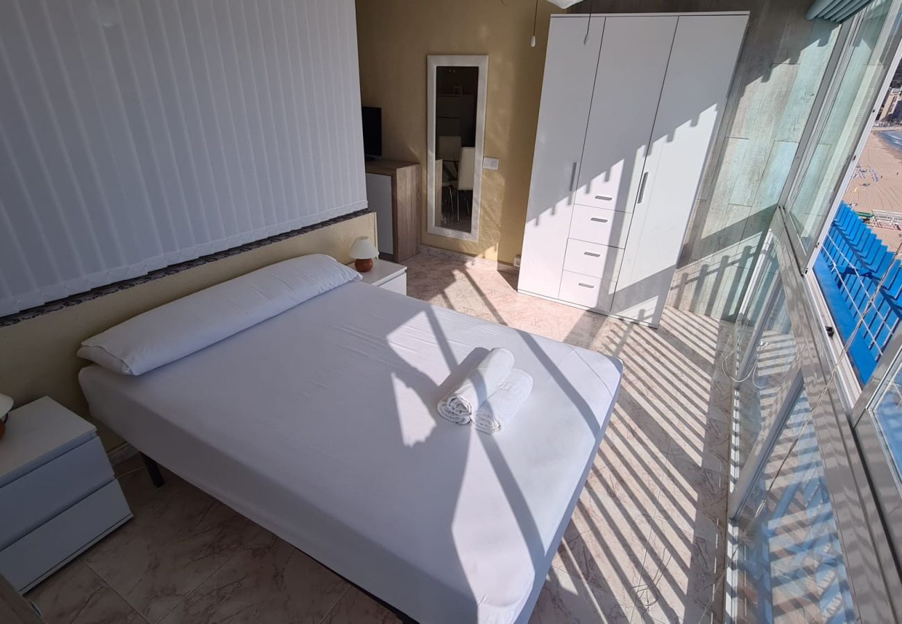 Apartamento en Benidorm - Estudio  Las Palmeras 12 IF Benidorm