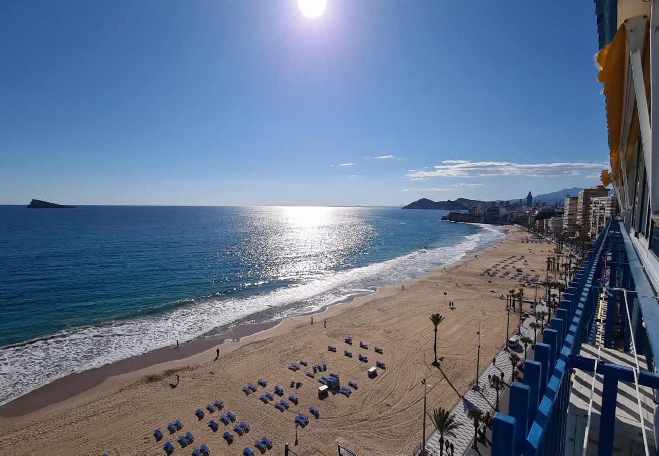 Apartamento en Benidorm - Estudio  Las Palmeras 12 IF Benidorm