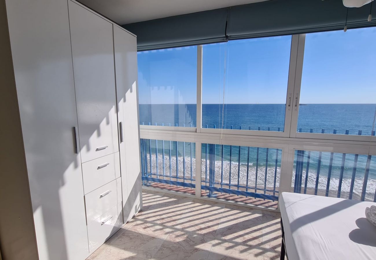 Apartamento en Benidorm - Estudio  Las Palmeras 12 IF Benidorm