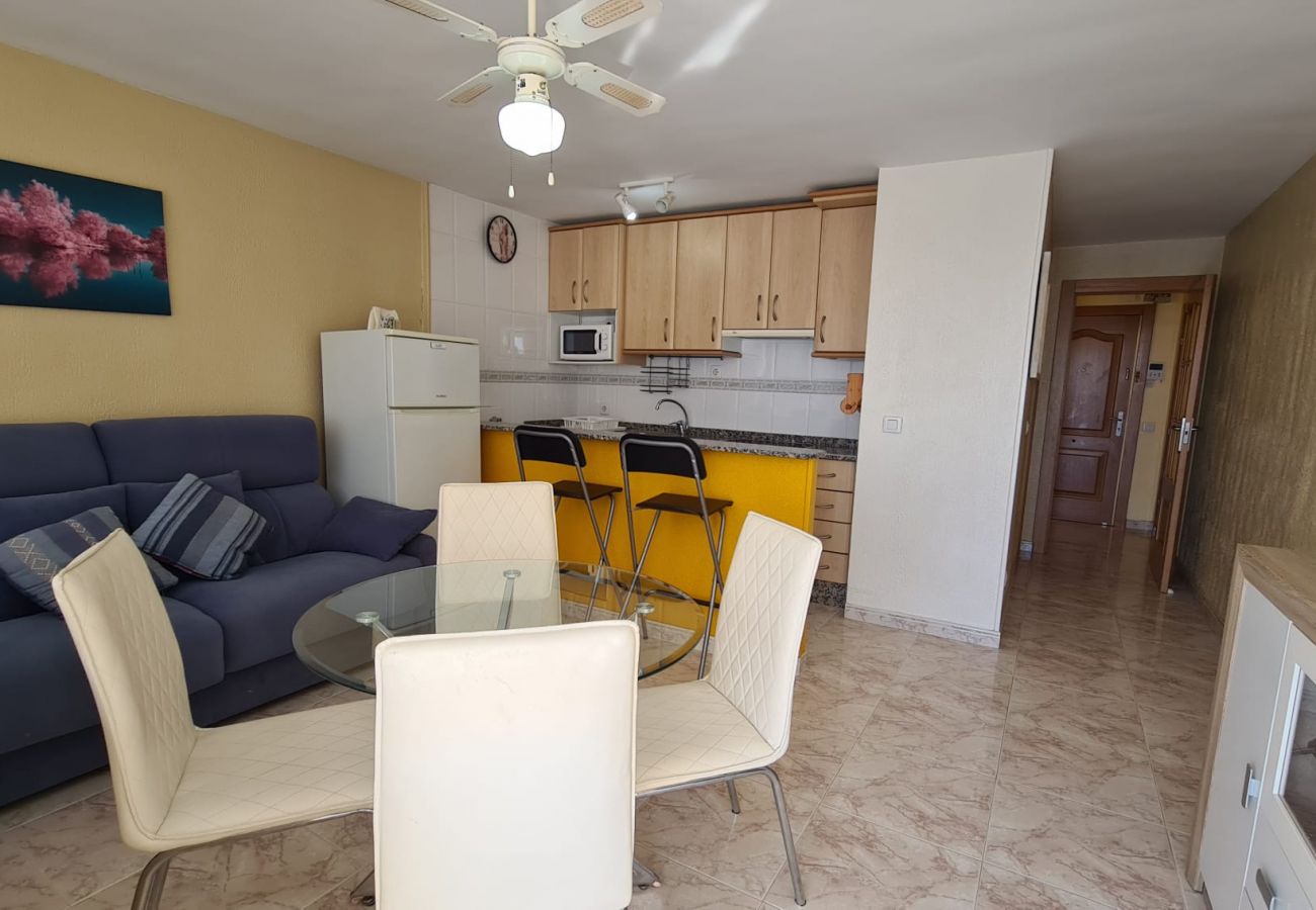 Apartamento en Benidorm - Estudio  Las Palmeras 12 IF Benidorm