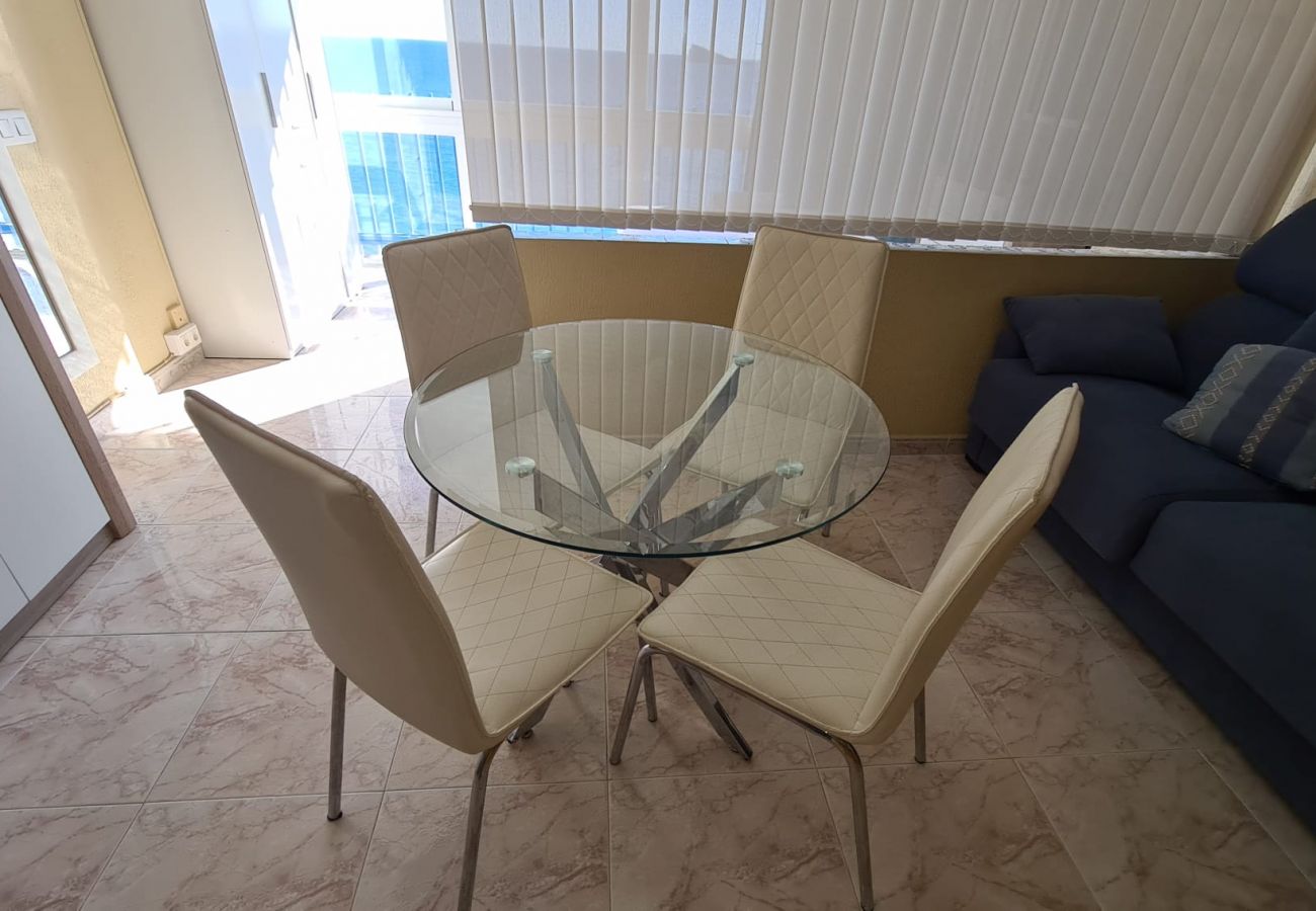 Apartamento en Benidorm - Estudio  Las Palmeras 12 IF Benidorm