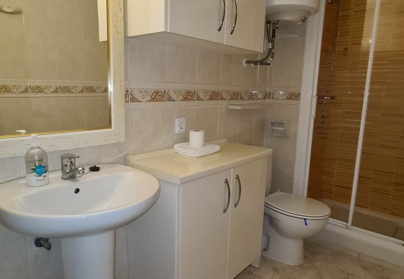 Apartamento en Benidorm - Estudio  Las Palmeras 12 IF Benidorm