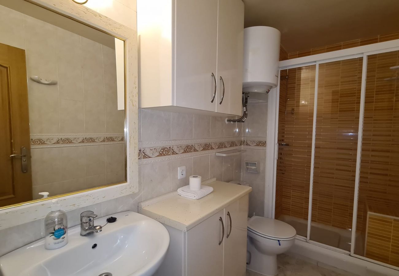 Apartamento en Benidorm - Estudio  Las Palmeras 12 IF Benidorm