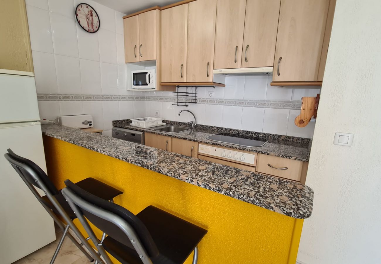 Apartamento en Benidorm - Estudio  Las Palmeras 12 IF Benidorm