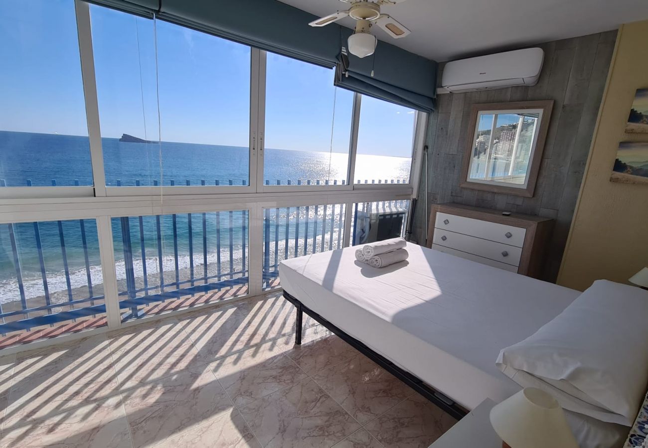 Apartamento en Benidorm - Estudio  Las Palmeras 12 IF Benidorm