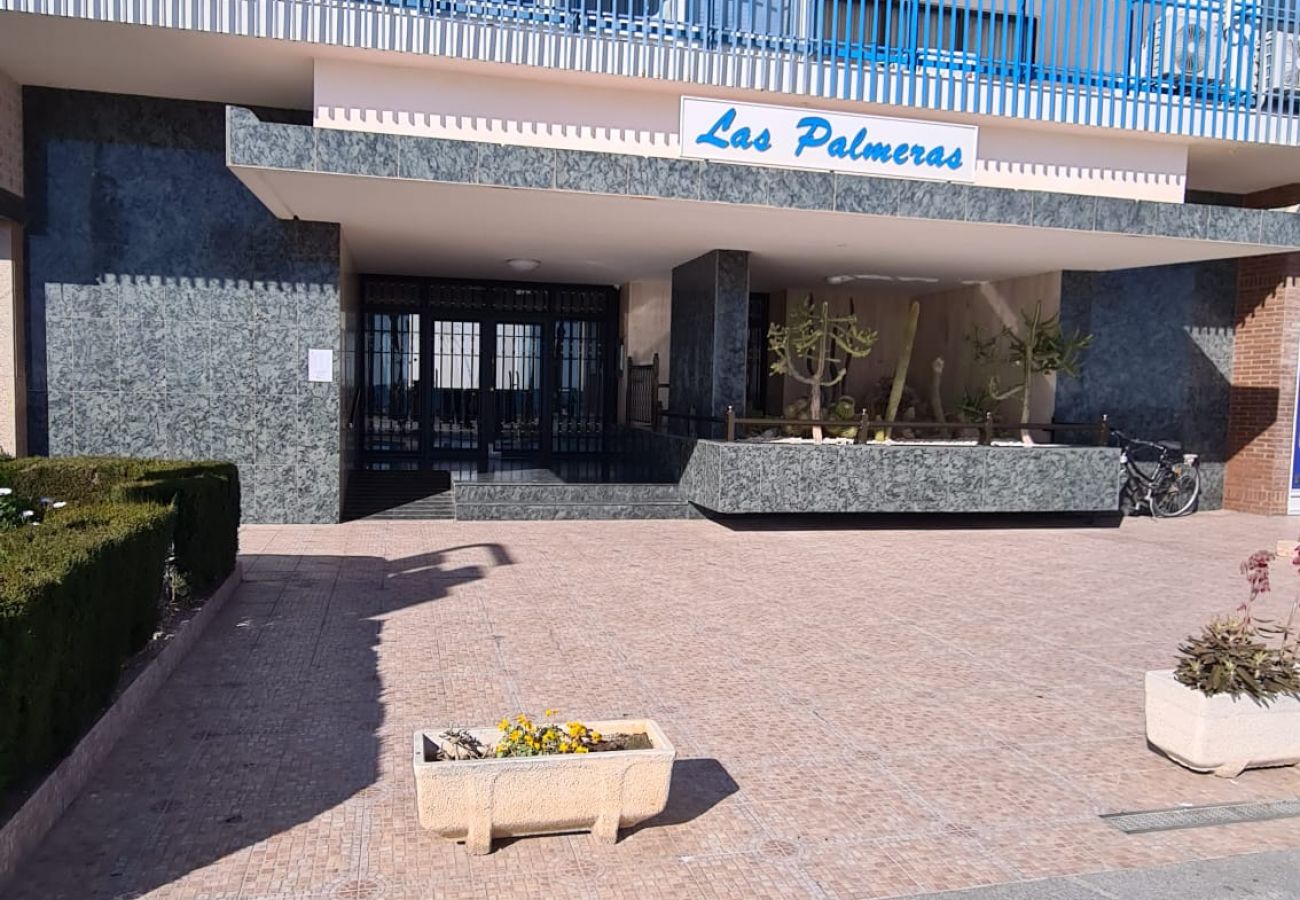 Apartamento en Benidorm - Estudio  Las Palmeras 12 IF Benidorm