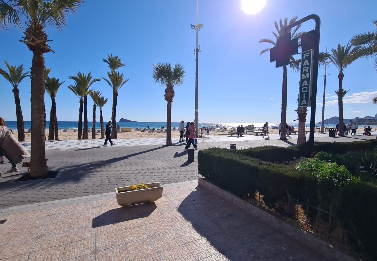 Apartamento en Benidorm - Estudio  Las Palmeras 12 IF Benidorm