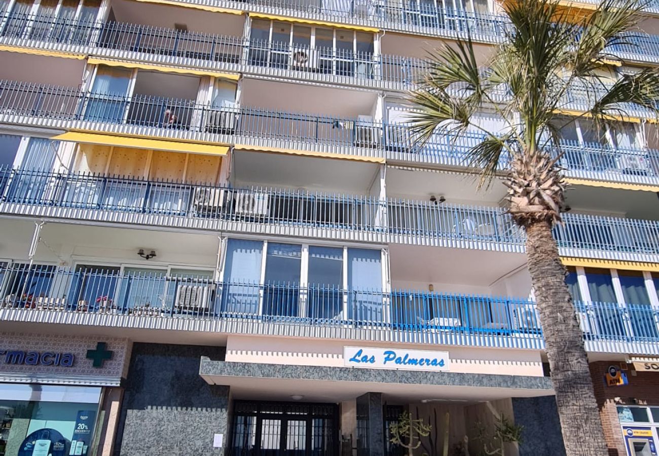 Apartamento en Benidorm - Estudio  Las Palmeras 12 IF Benidorm