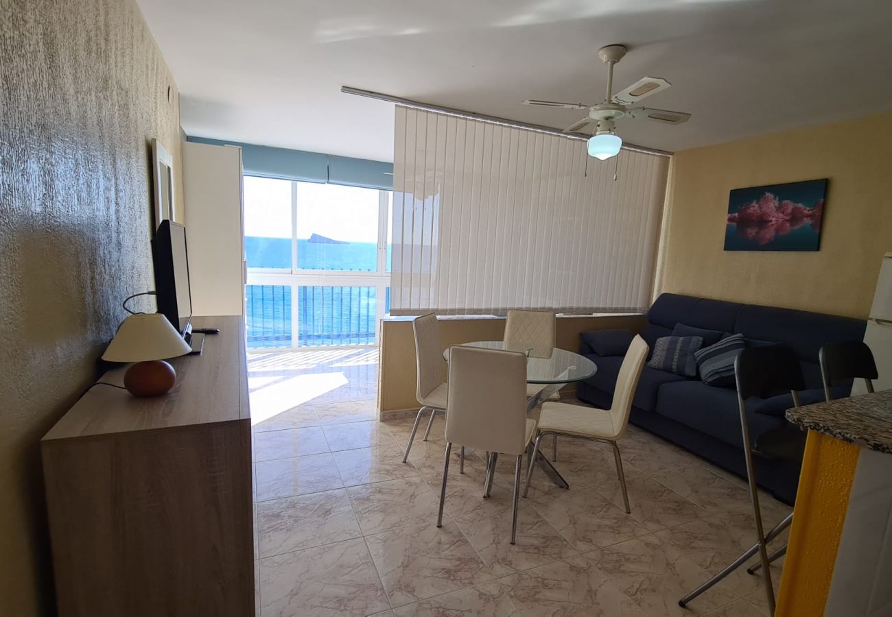 Apartamento en Benidorm - Estudio  Las Palmeras 12 IF Benidorm