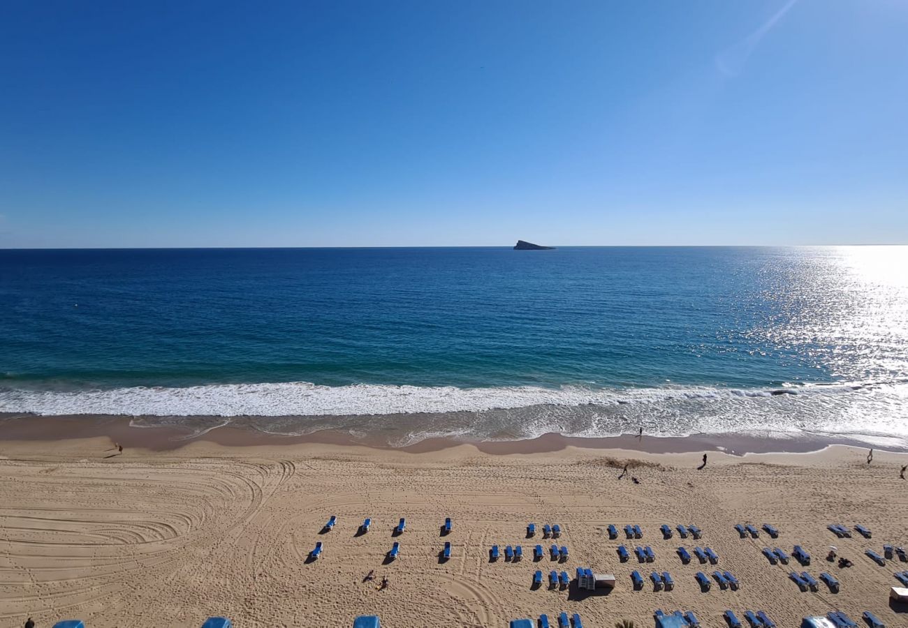 Apartamento en Benidorm - Estudio  Las Palmeras 12 IF Benidorm