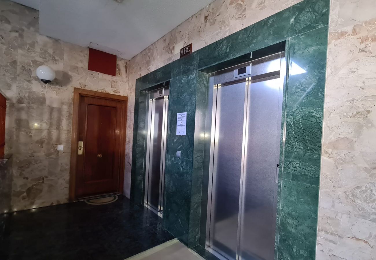 Apartamento en Benidorm - Estudio  Las Palmeras 12 IF Benidorm