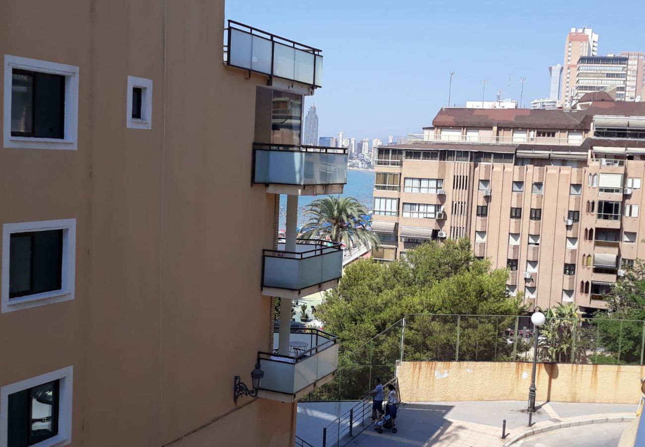 Apartamento en Benidorm - Apartamento  Parque Elche IF Benidorm