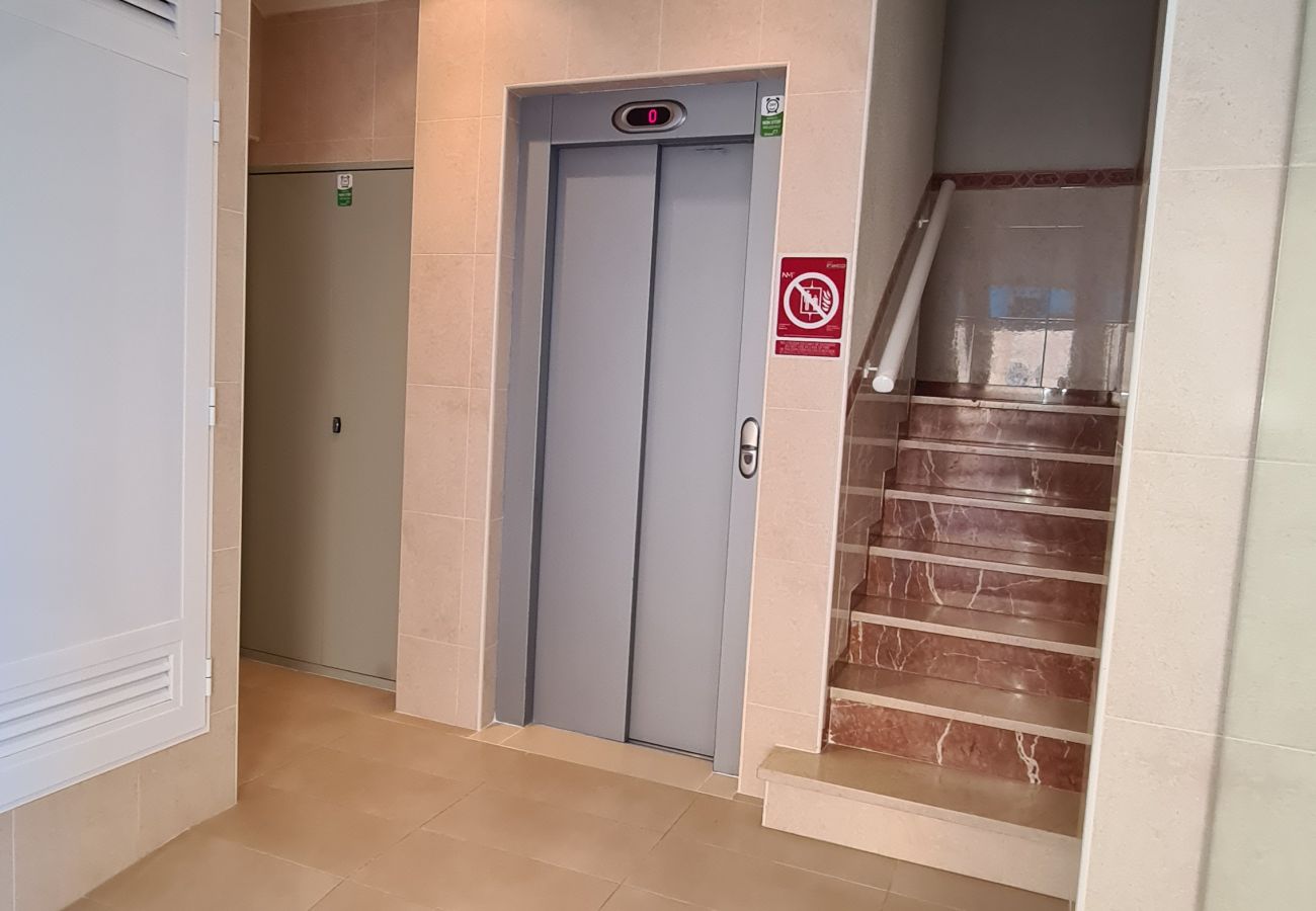 Apartamento en Benidorm - Apartamento  Parque Elche IF Benidorm