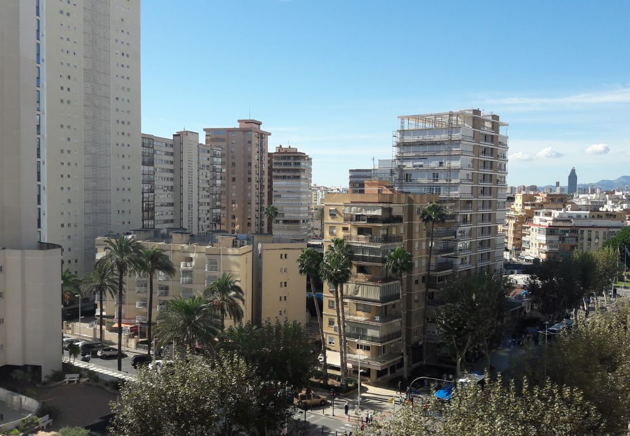 Apartamento en Benidorm - Apartamento Ilice 9 IF Benidorm