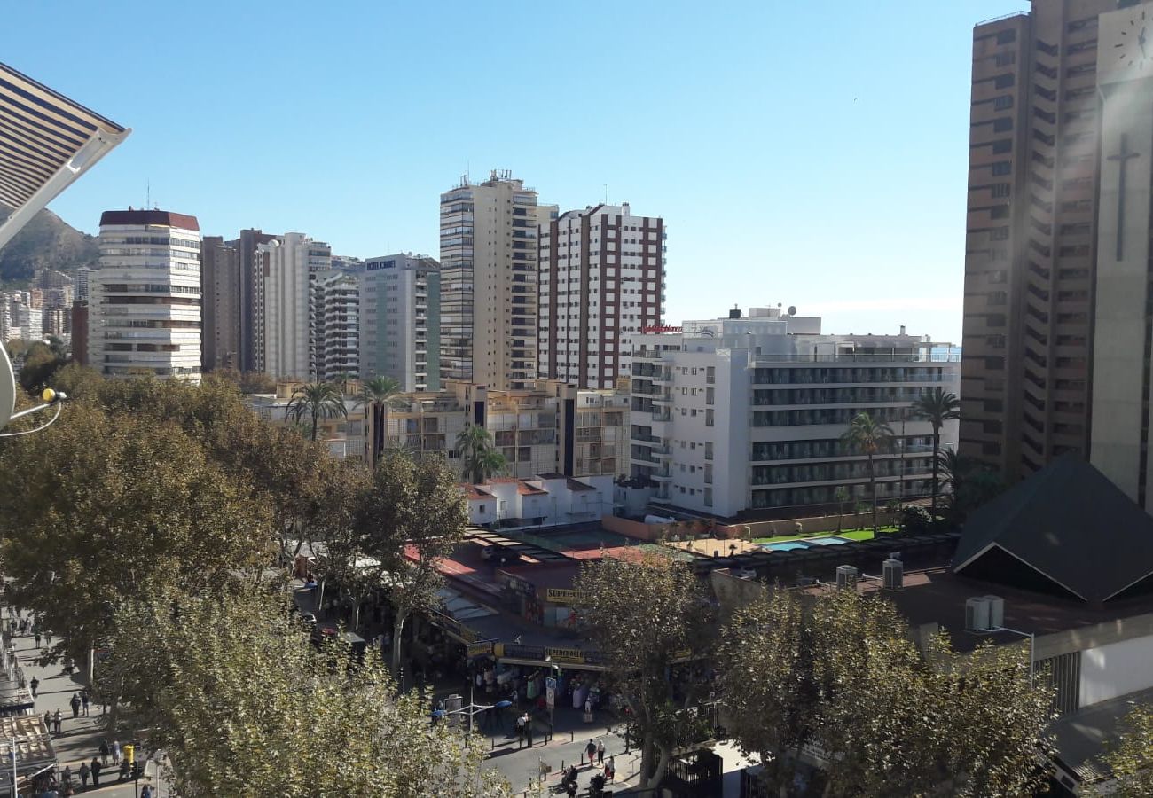 Apartamento en Benidorm - Apartamento Ilice 9 IF Benidorm