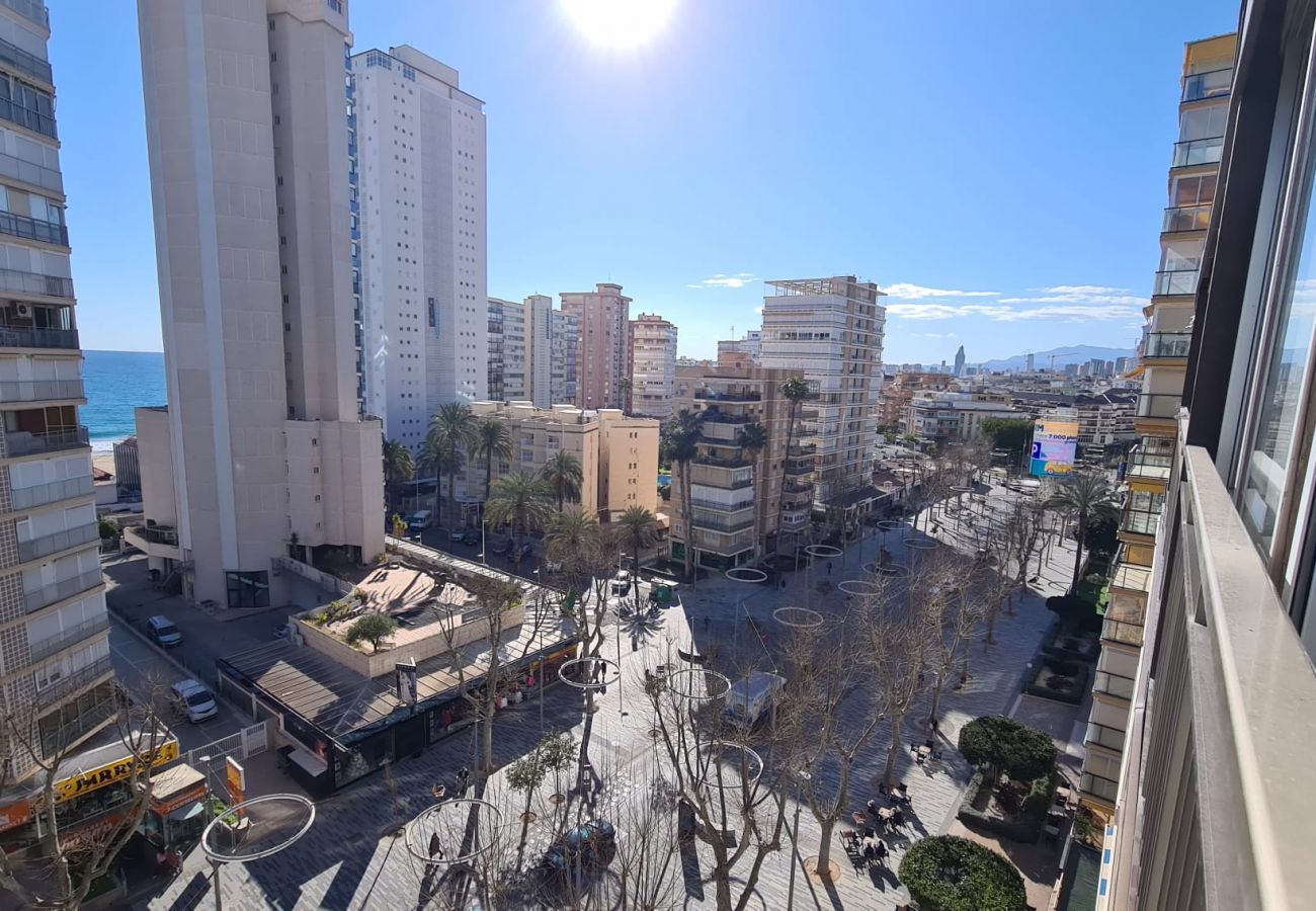 Apartamento en Benidorm - Apartamento Ilice 9 IF Benidorm