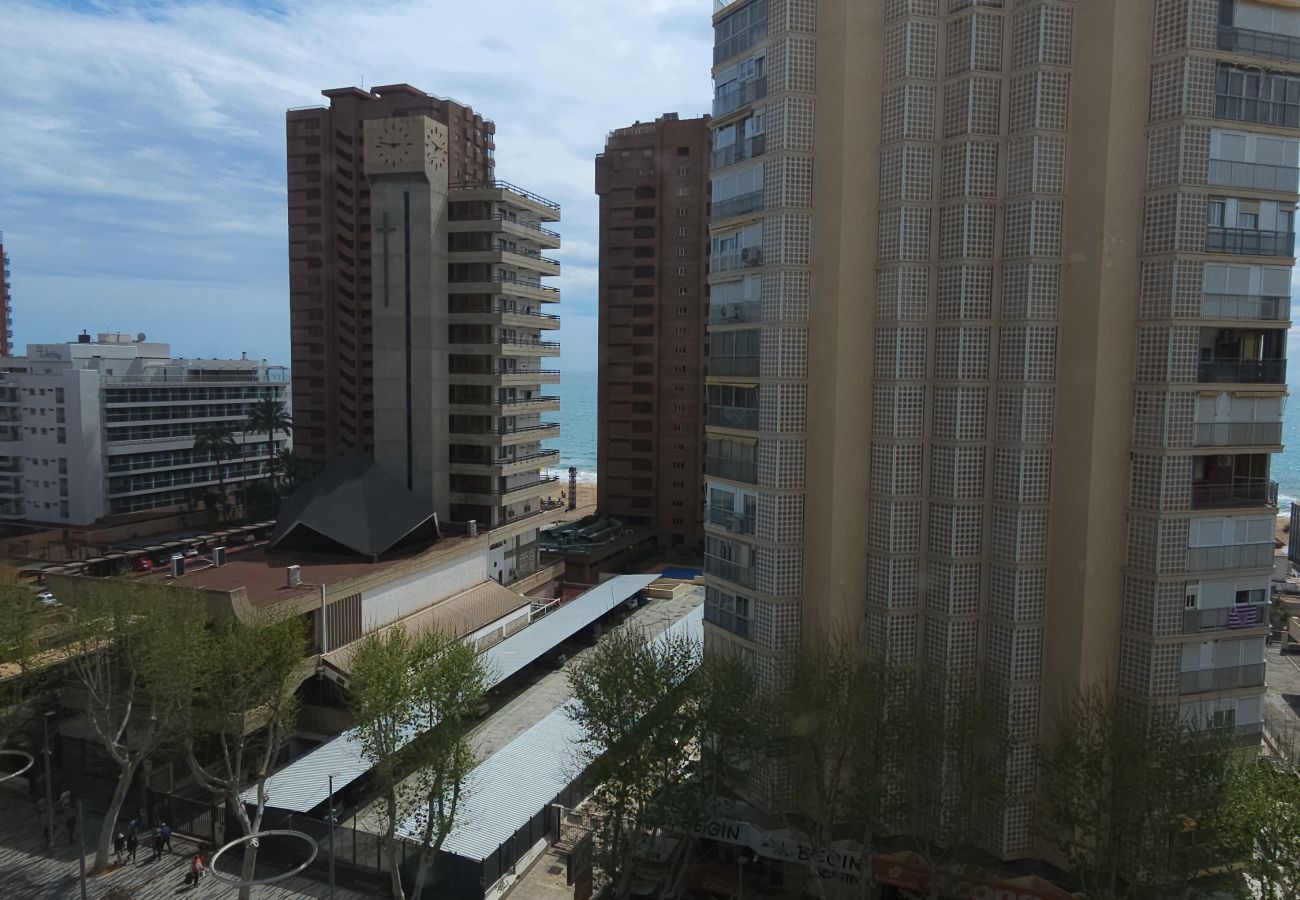 Apartamento en Benidorm - Apartamento Ilice 9 IF Benidorm