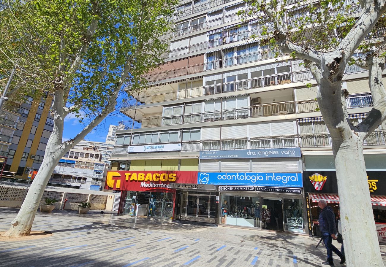 Apartamento en Benidorm - Apartamento Ilice 9 IF Benidorm