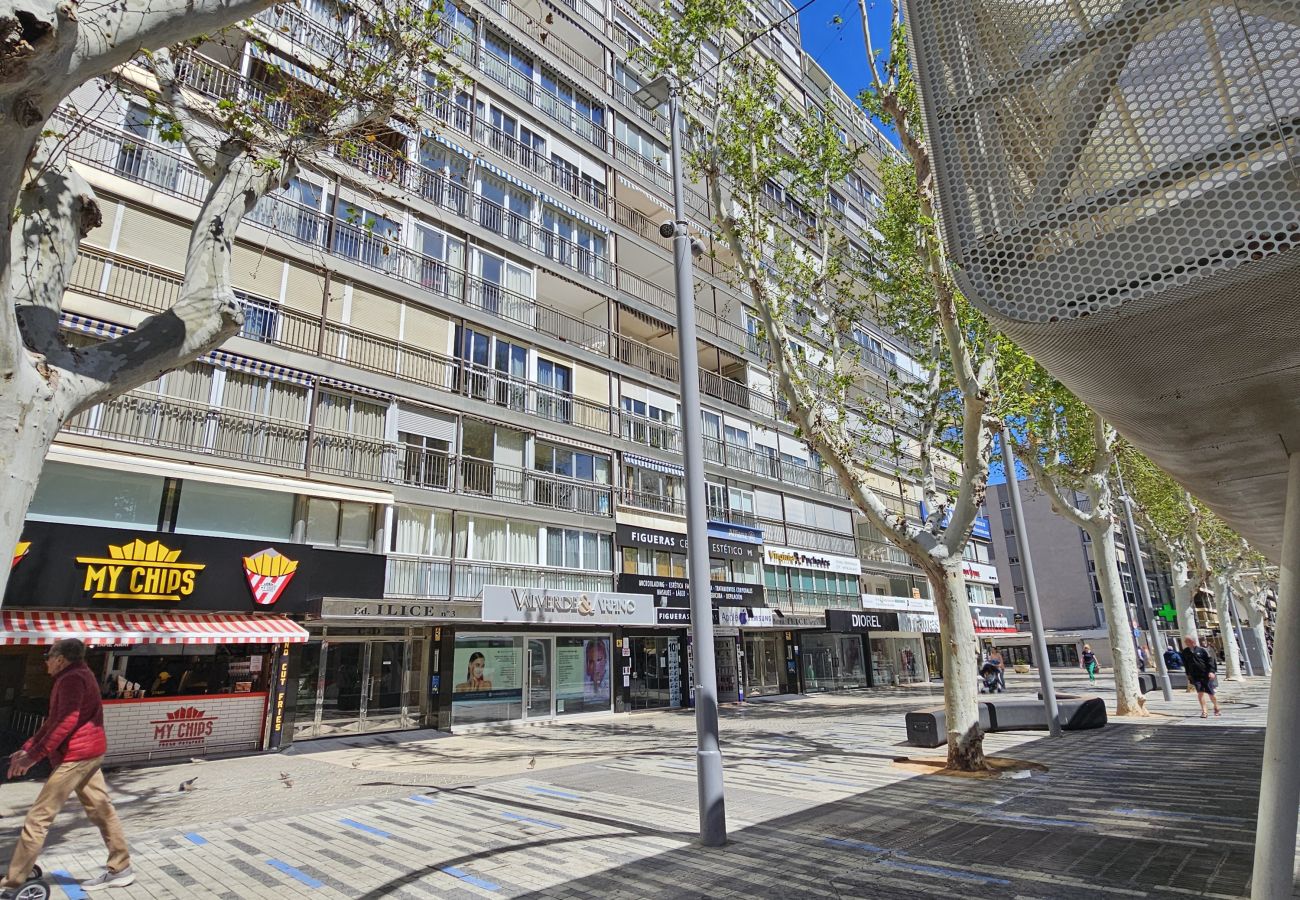 Apartamento en Benidorm - Apartamento Ilice 9 IF Benidorm