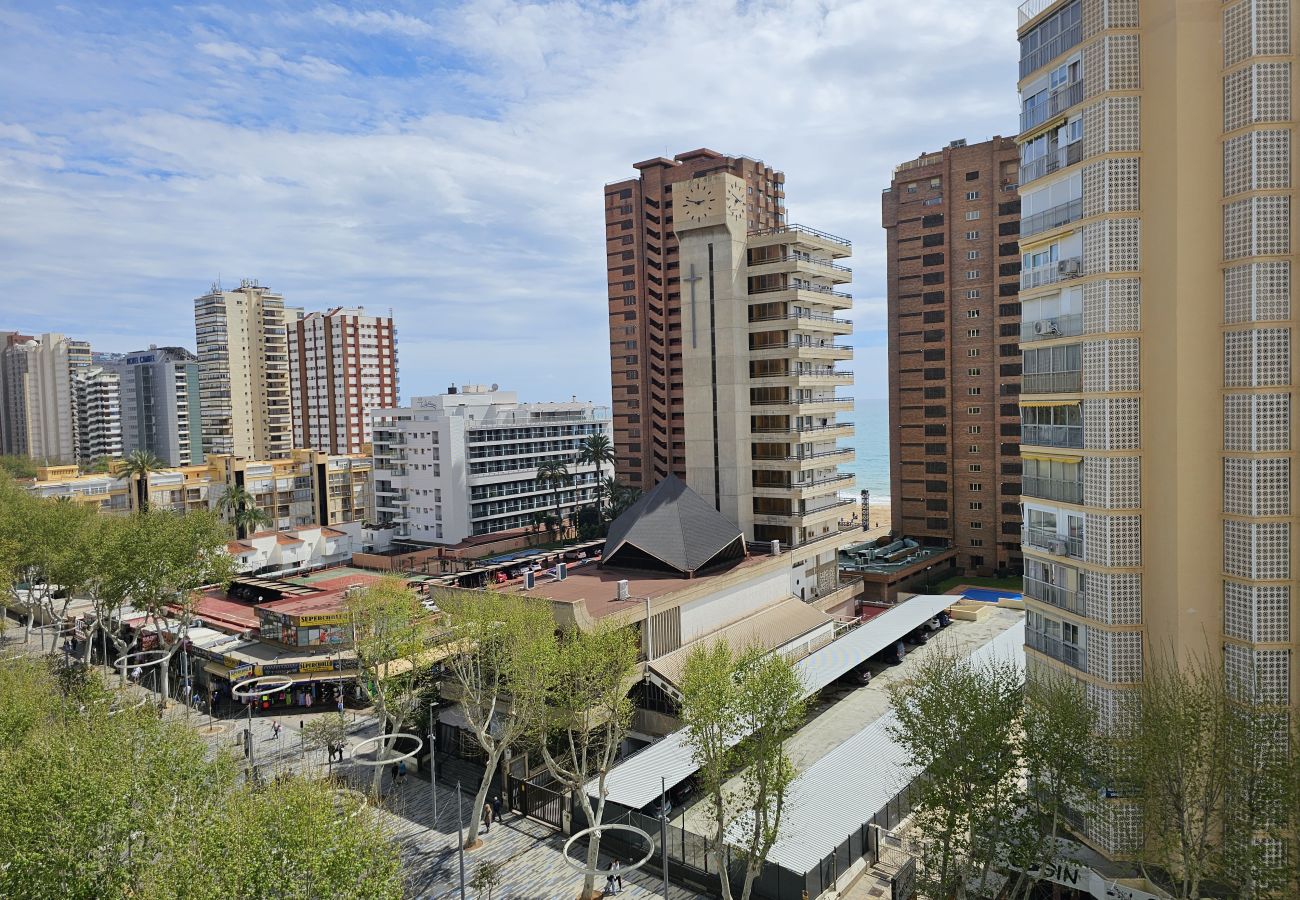 Apartamento en Benidorm - Apartamento Ilice 9 IF Benidorm