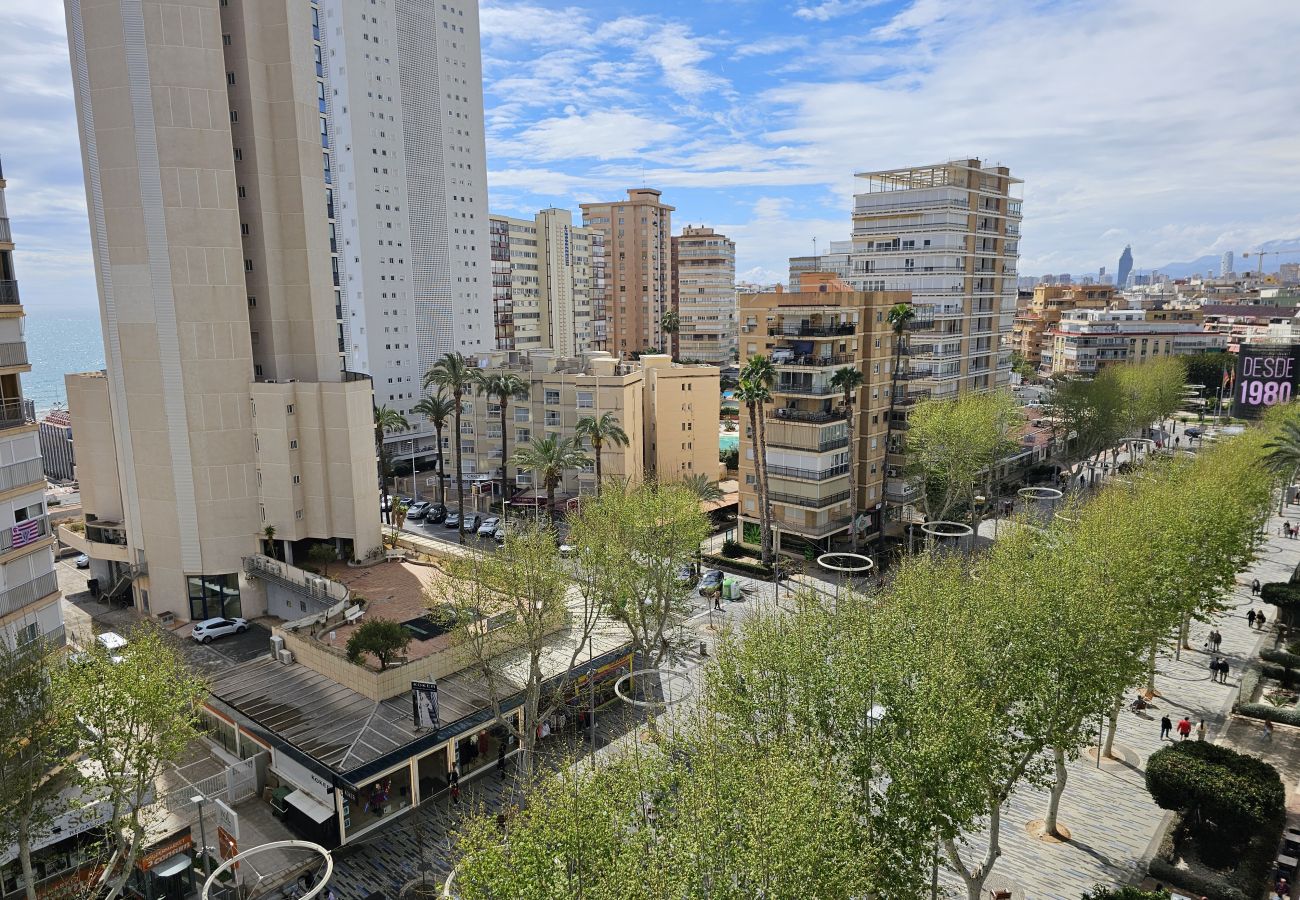 Apartamento en Benidorm - Apartamento Ilice 9 IF Benidorm