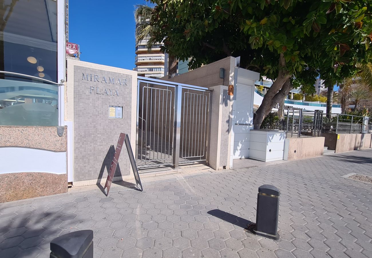 Apartamento en Benidorm - Apartamento  Miramar Playa IF Benidorm